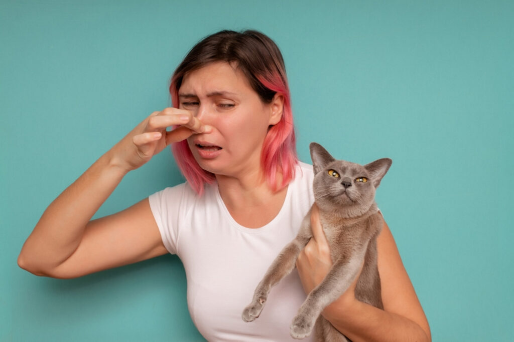 How to Get Rid of Cat Smell? 9 Simple Steps